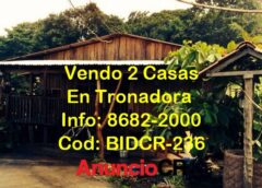 Vendo Propiedad Con 2 Casas En Tronadora De Tilarán