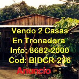 Vendo Propiedad Con 2 Casas En Tronadora De Tilarán