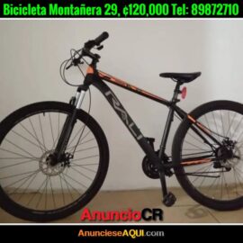 Bicicleta Rali Montañera 29