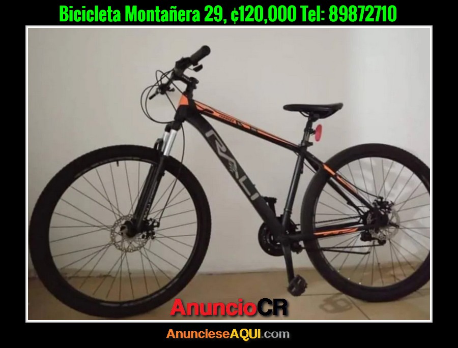 Bicicleta Rali Montañera 29