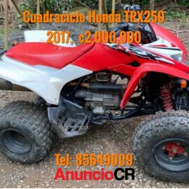 Honda TRX250 2017 en Venta